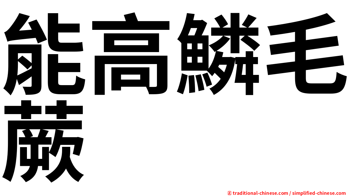 能高鱗毛蕨