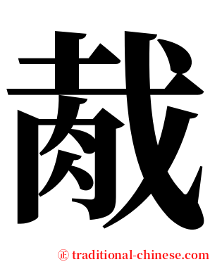胾 serif font