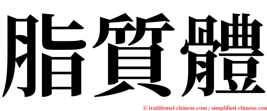 脂質體 serif font