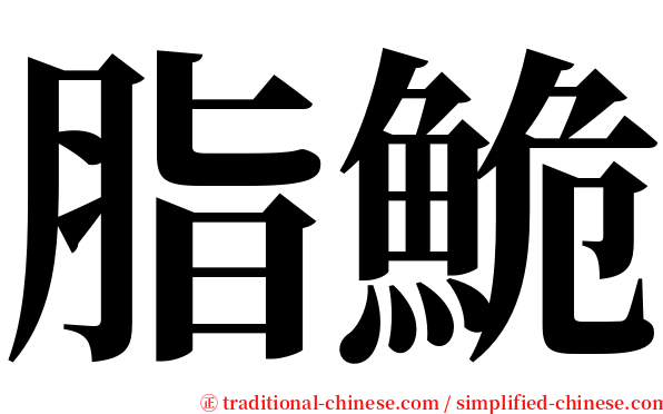 脂鮠 serif font
