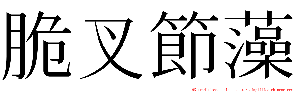 脆叉節藻 ming font