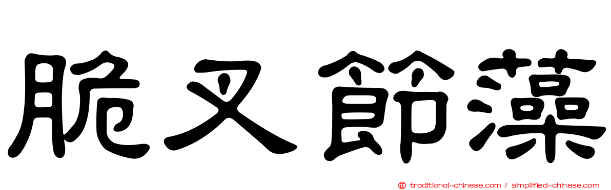 脆叉節藻