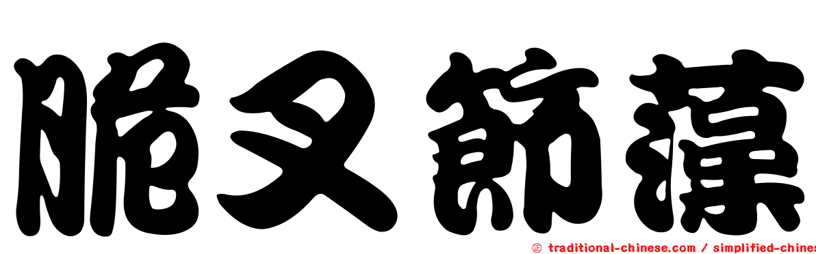 脆叉節藻