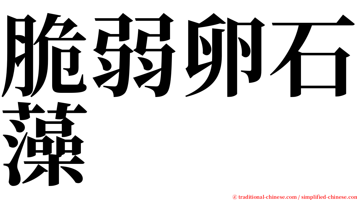 脆弱卵石藻 serif font