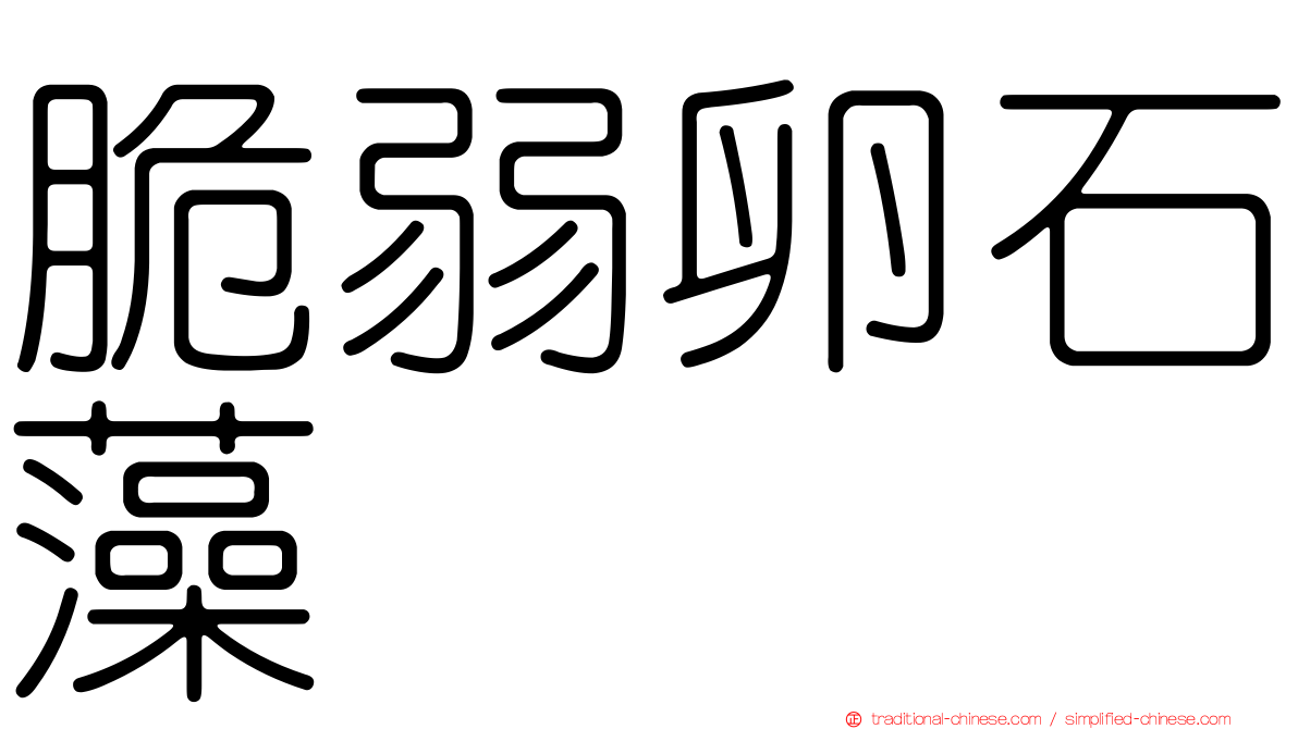 脆弱卵石藻