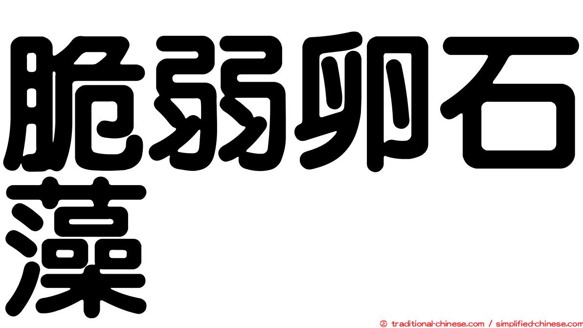 脆弱卵石藻