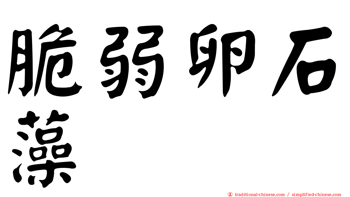 脆弱卵石藻