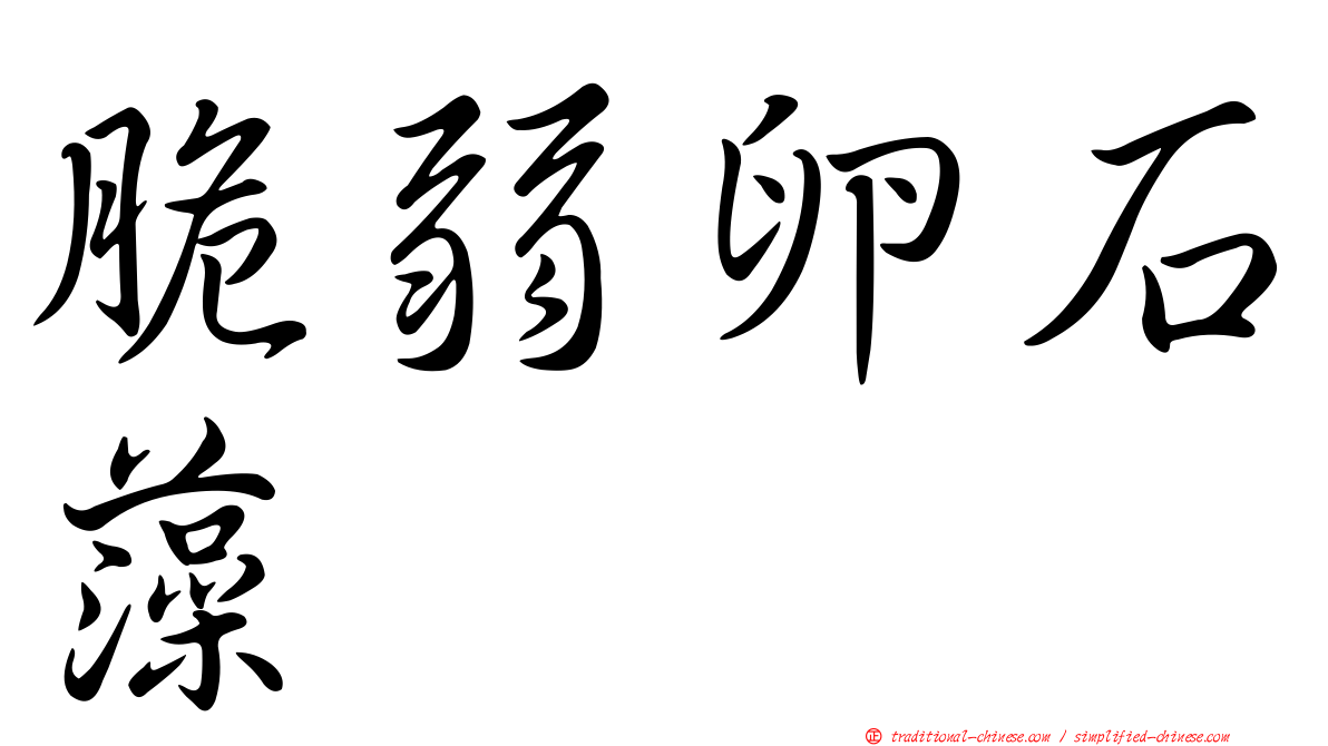 脆弱卵石藻