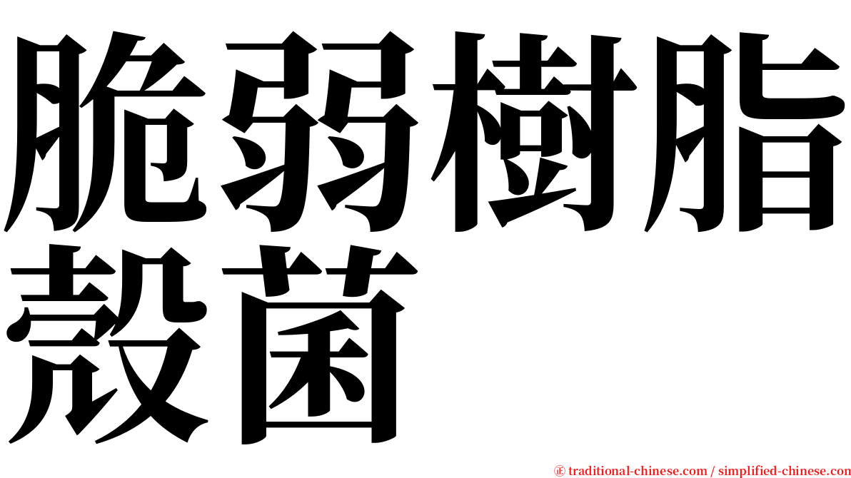 脆弱樹脂殼菌 serif font