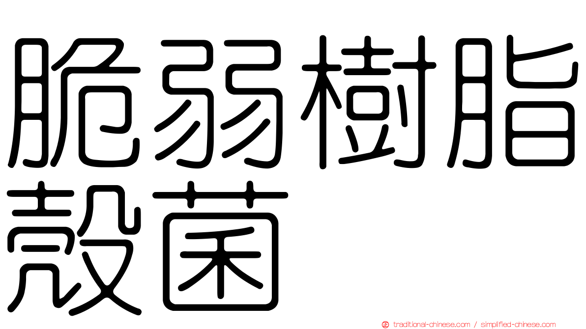 脆弱樹脂殼菌