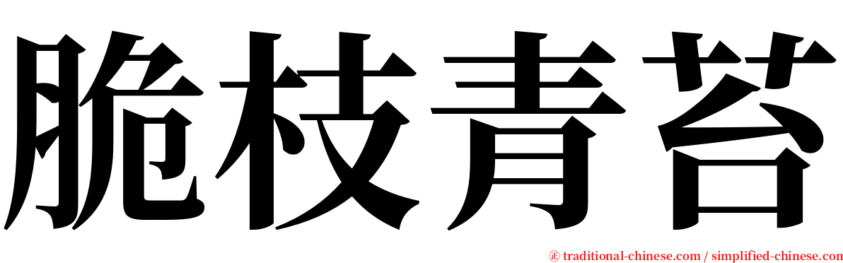 脆枝青苔 serif font
