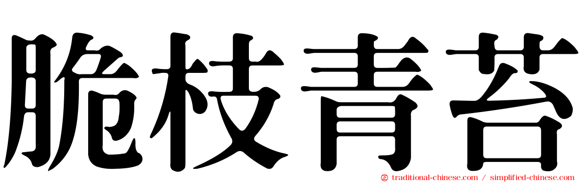 脆枝青苔