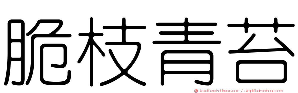 脆枝青苔