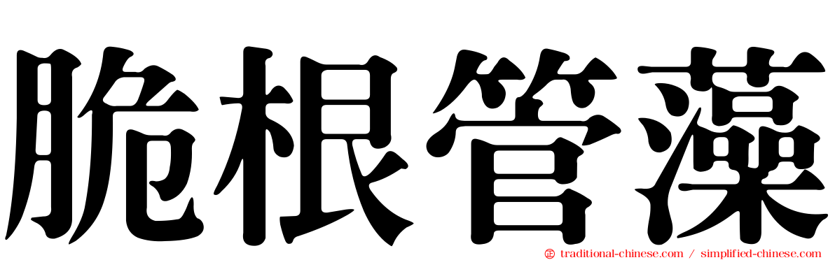 脆根管藻