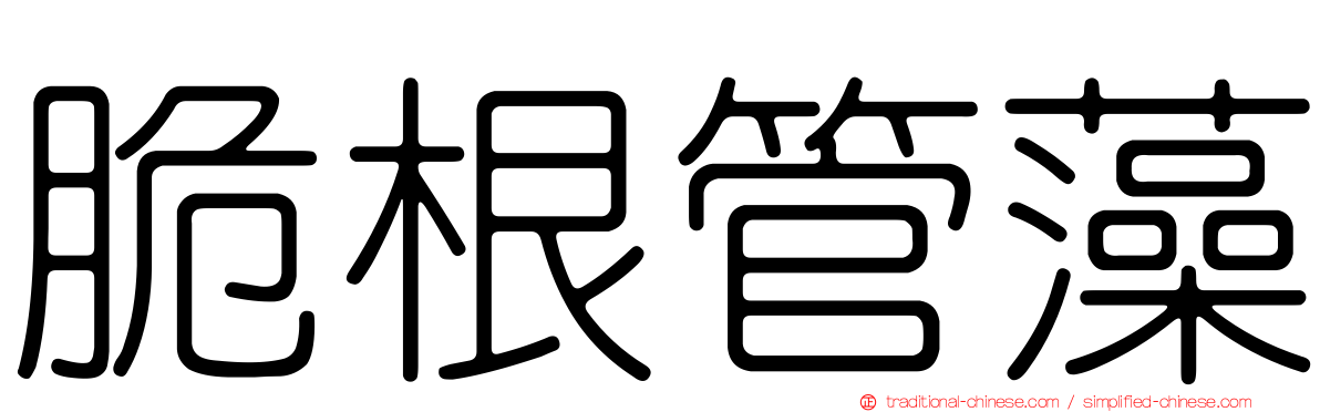 脆根管藻