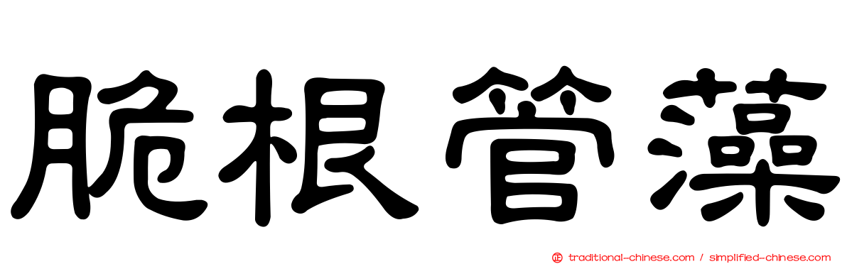 脆根管藻
