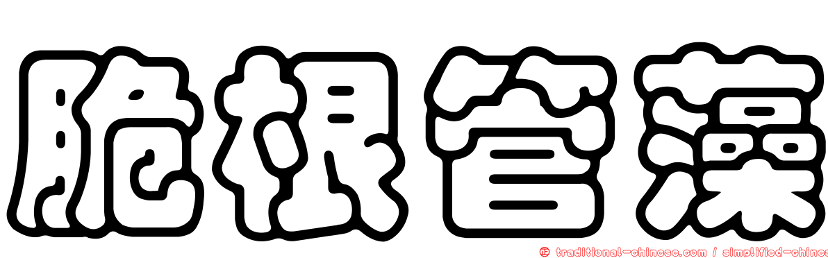 脆根管藻