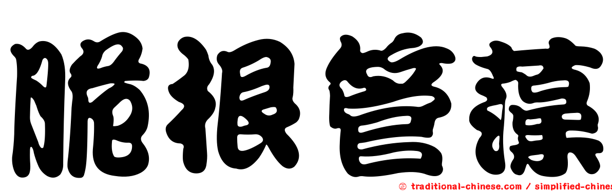 脆根管藻