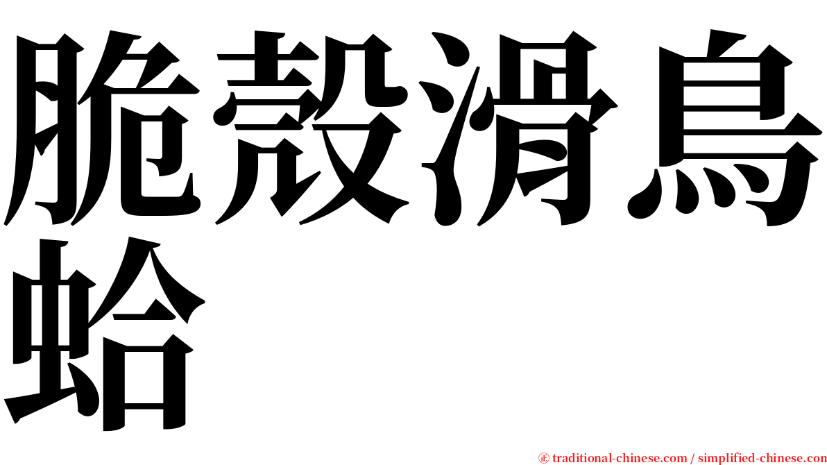 脆殼滑鳥蛤 serif font