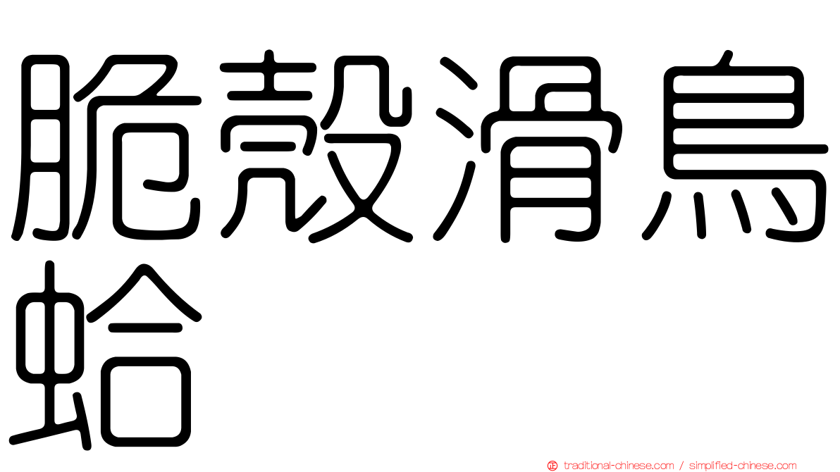 脆殼滑鳥蛤