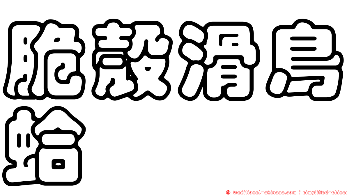 脆殼滑鳥蛤