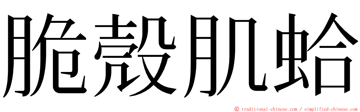 脆殼肌蛤 ming font