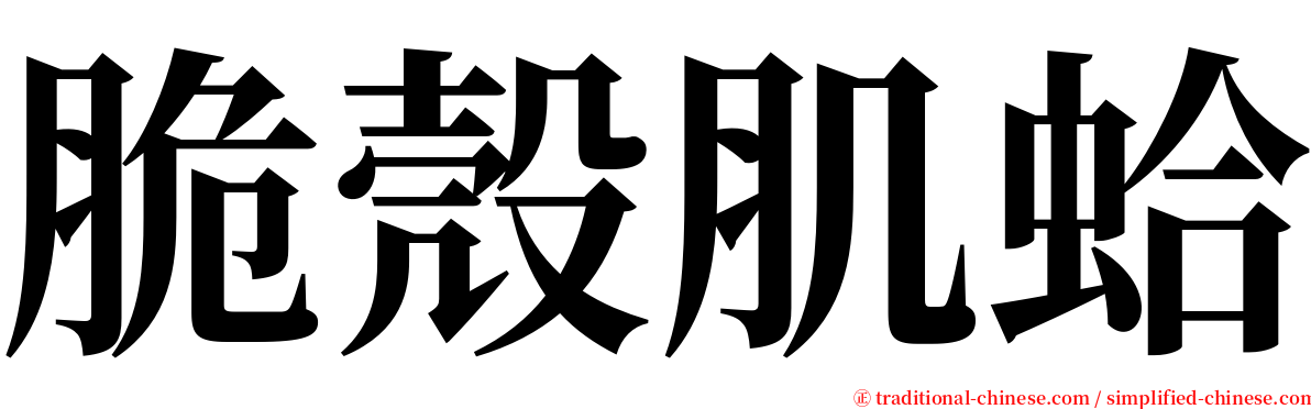 脆殼肌蛤 serif font
