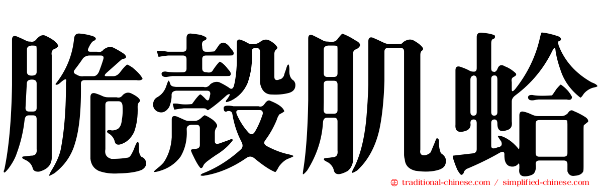脆殼肌蛤
