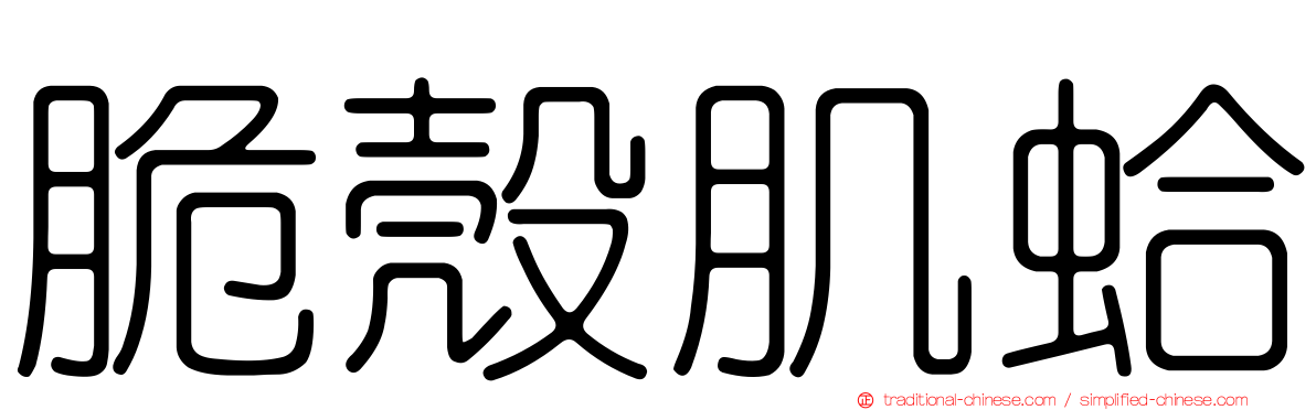 脆殼肌蛤