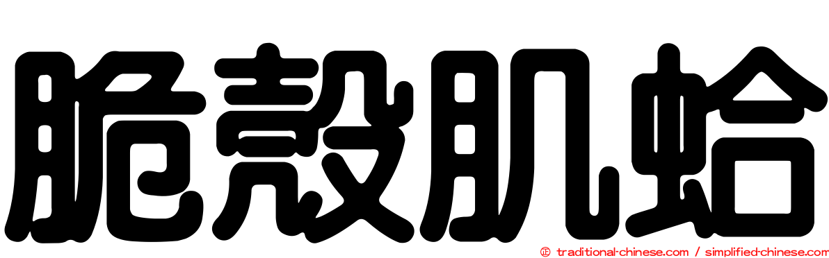 脆殼肌蛤