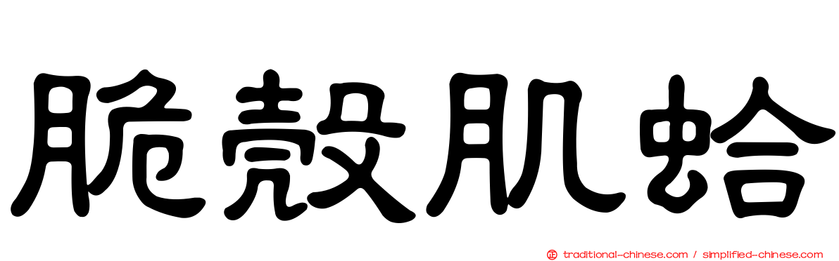 脆殼肌蛤