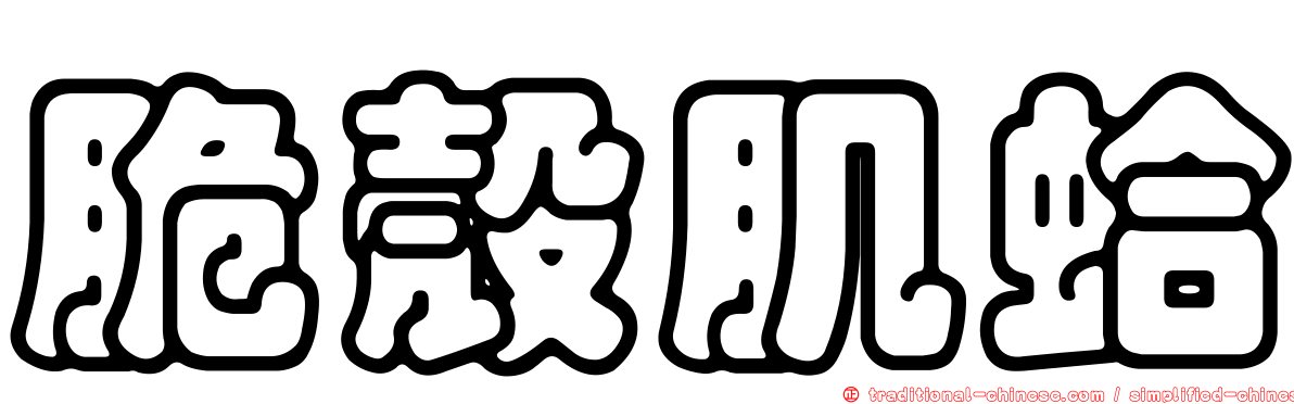 脆殼肌蛤