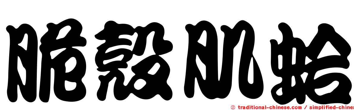 脆殼肌蛤