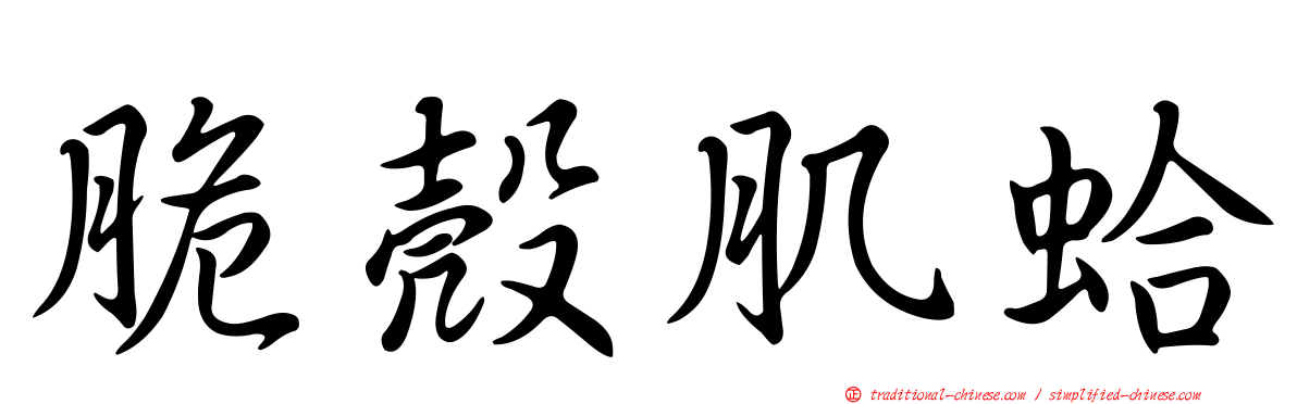 脆殼肌蛤