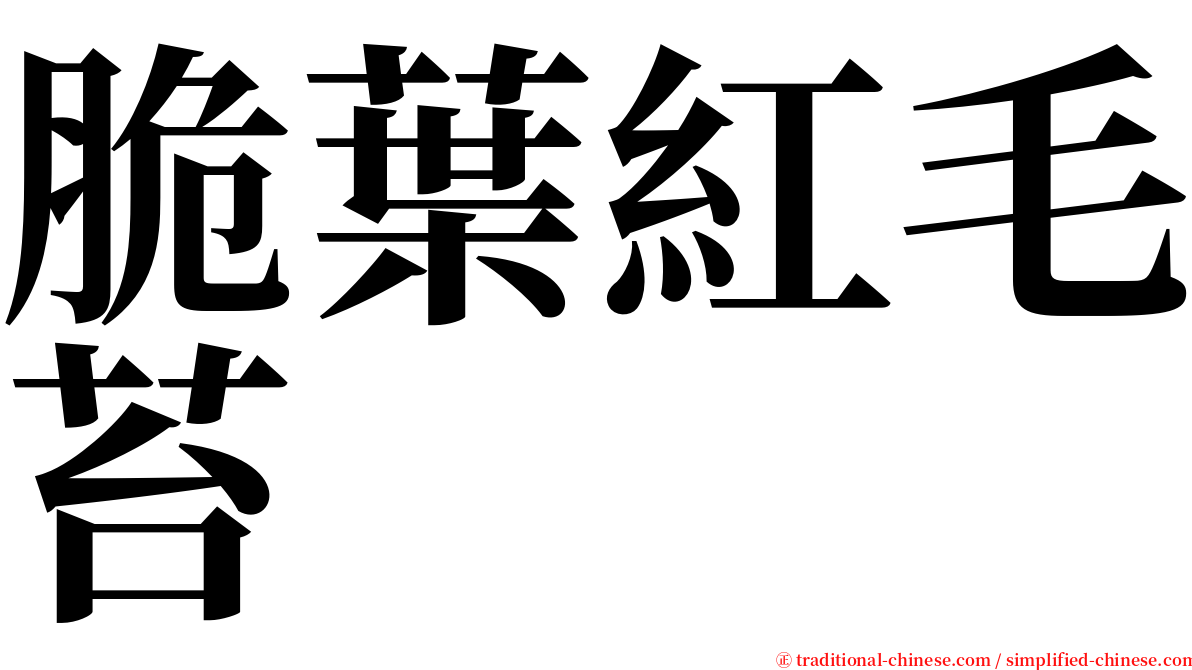 脆葉紅毛苔 serif font