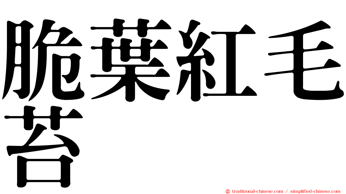 脆葉紅毛苔