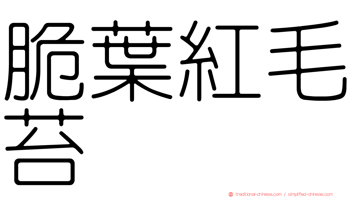 脆葉紅毛苔