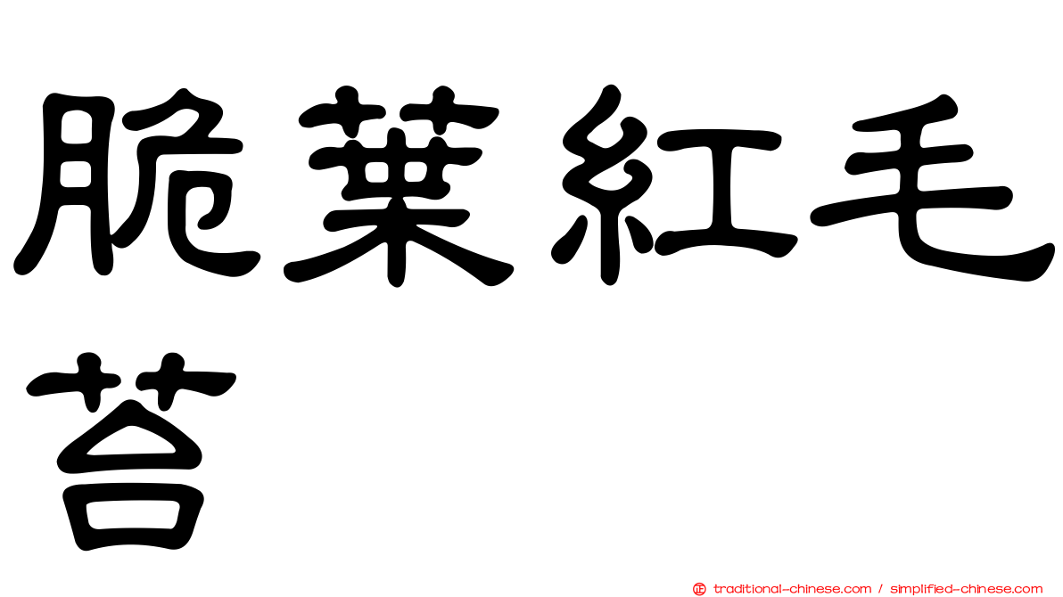 脆葉紅毛苔