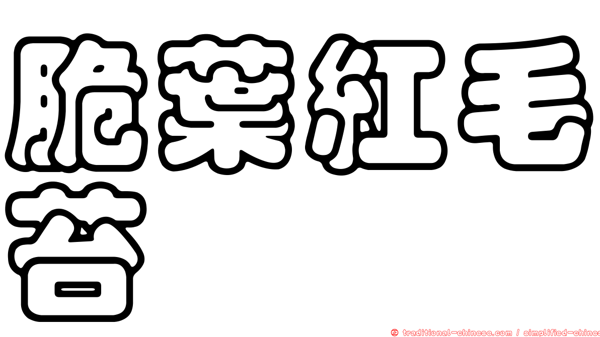 脆葉紅毛苔