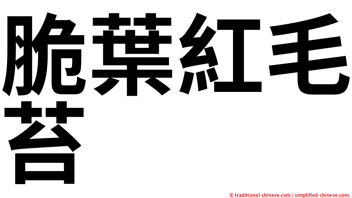 脆葉紅毛苔