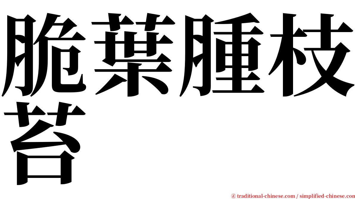 脆葉腫枝苔 serif font