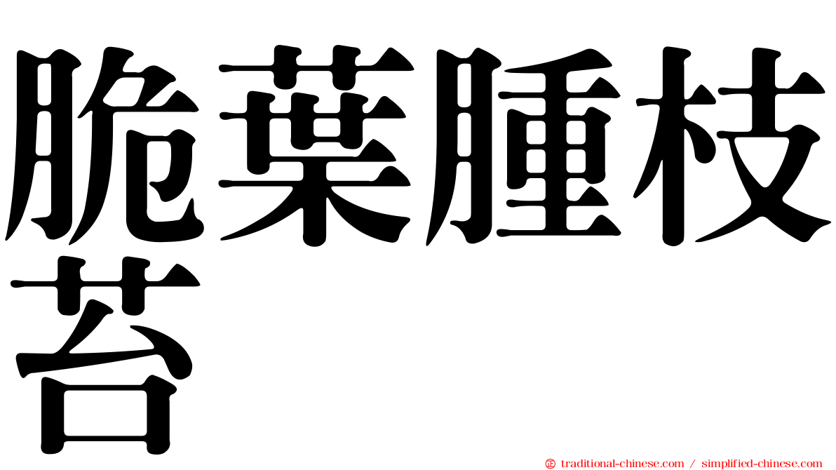 脆葉腫枝苔