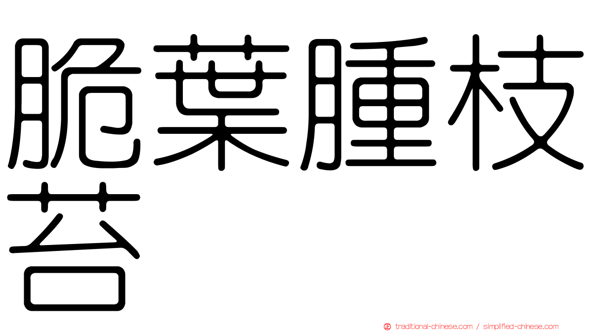 脆葉腫枝苔