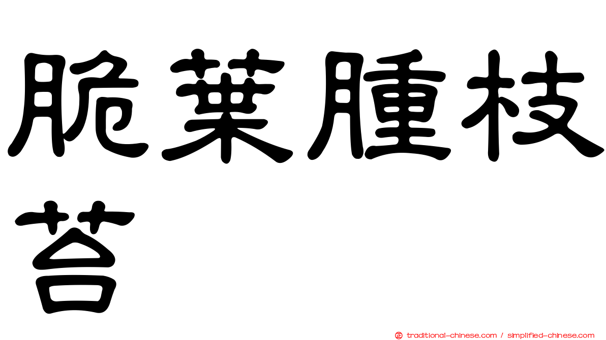 脆葉腫枝苔