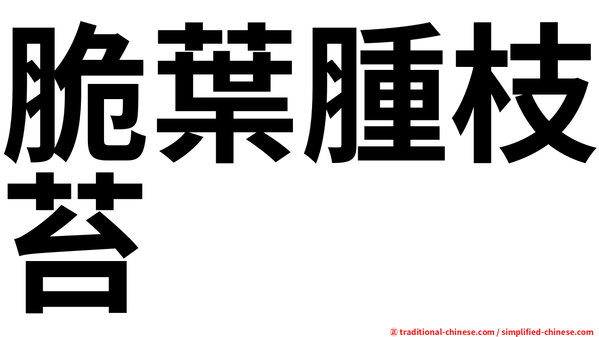脆葉腫枝苔