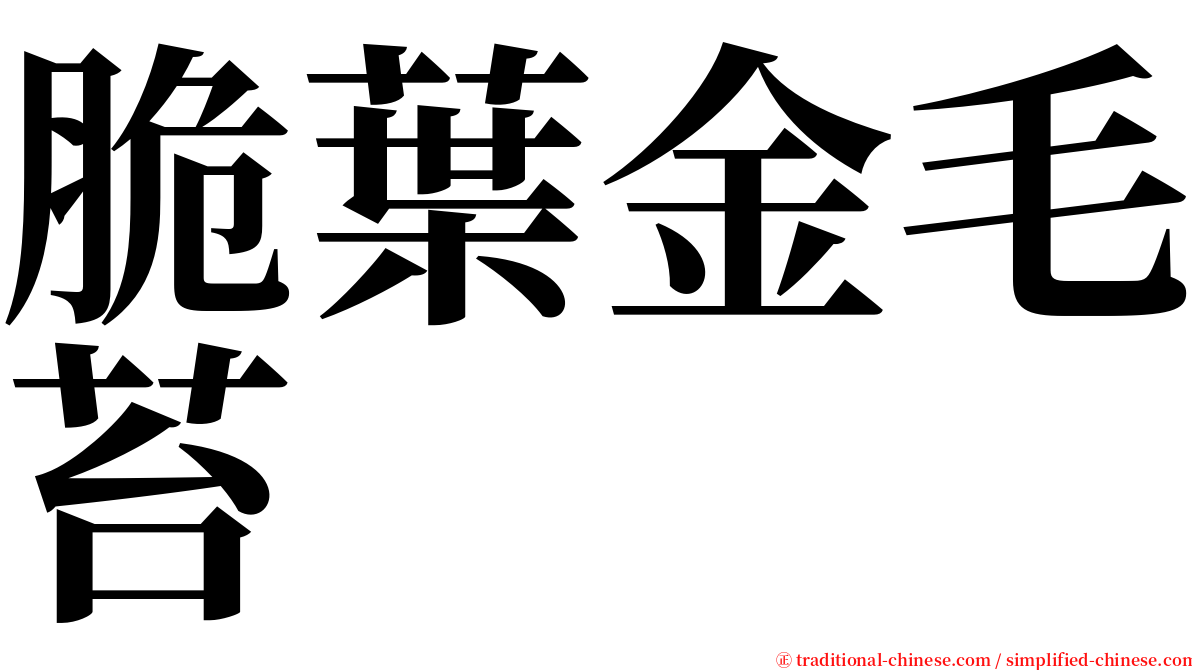 脆葉金毛苔 serif font