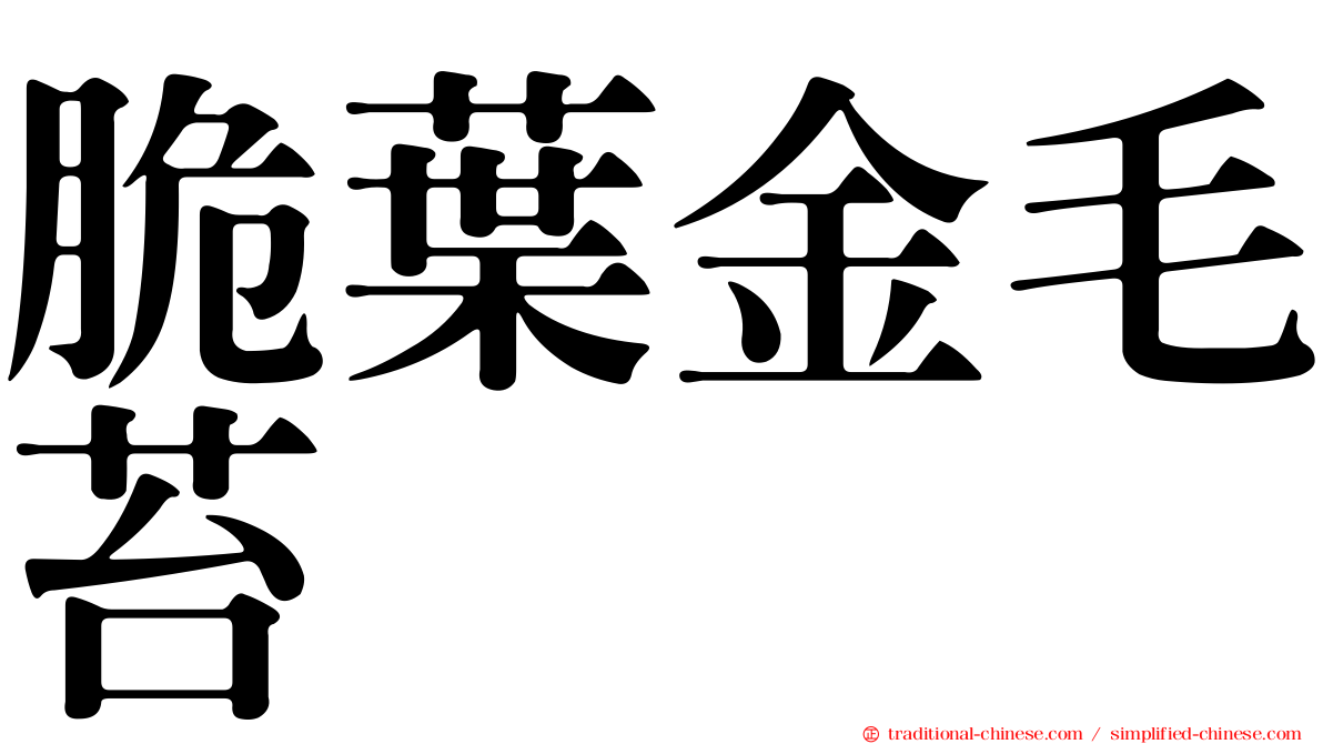 脆葉金毛苔