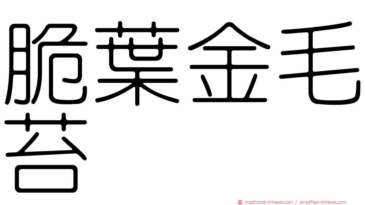 脆葉金毛苔