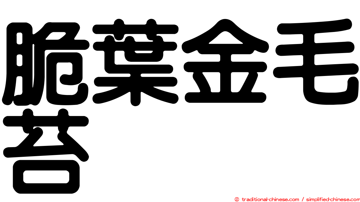 脆葉金毛苔