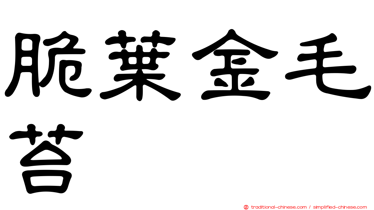 脆葉金毛苔